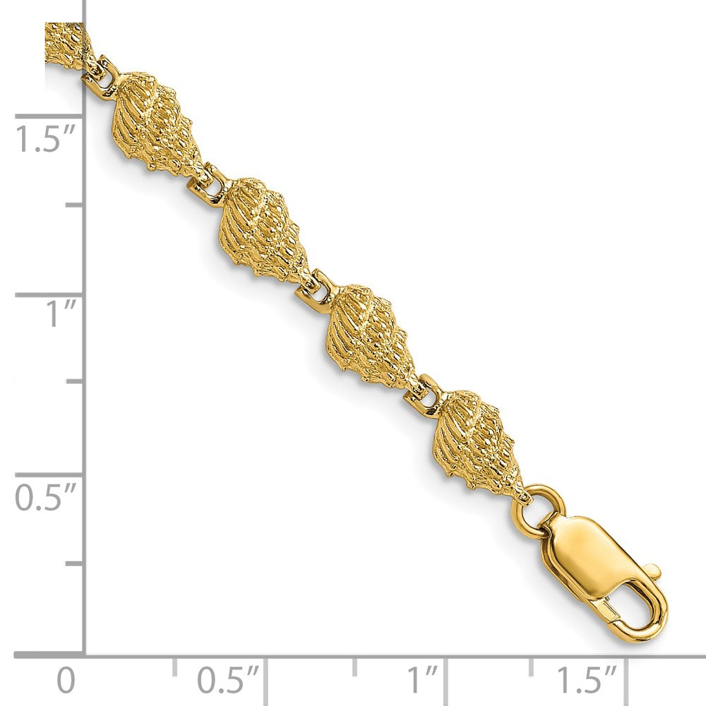 14k Conch Shell Bracelet