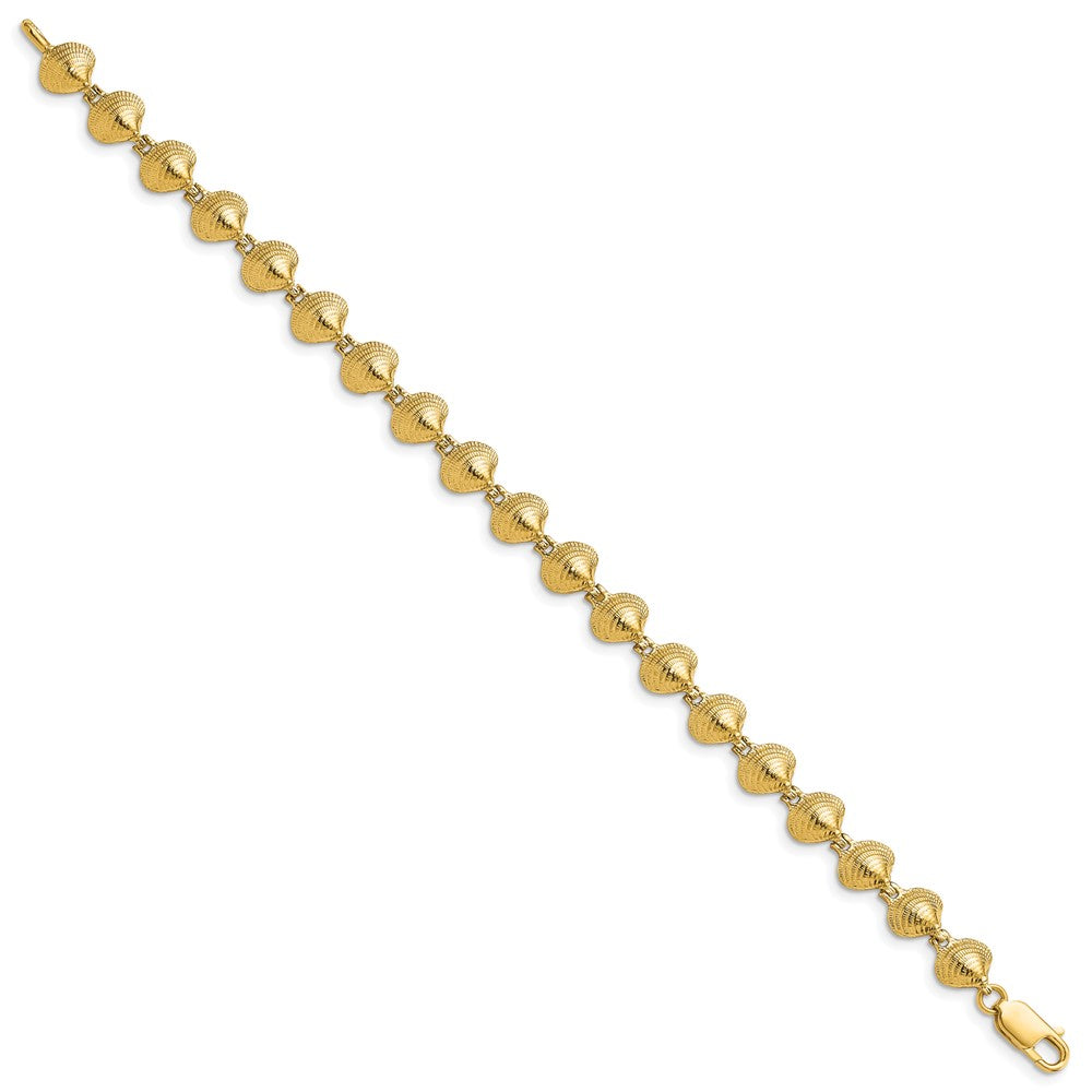14k Clam Shell Bracelet
