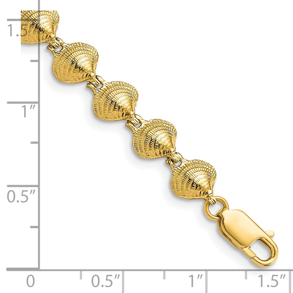 14k Clam Shell Bracelet