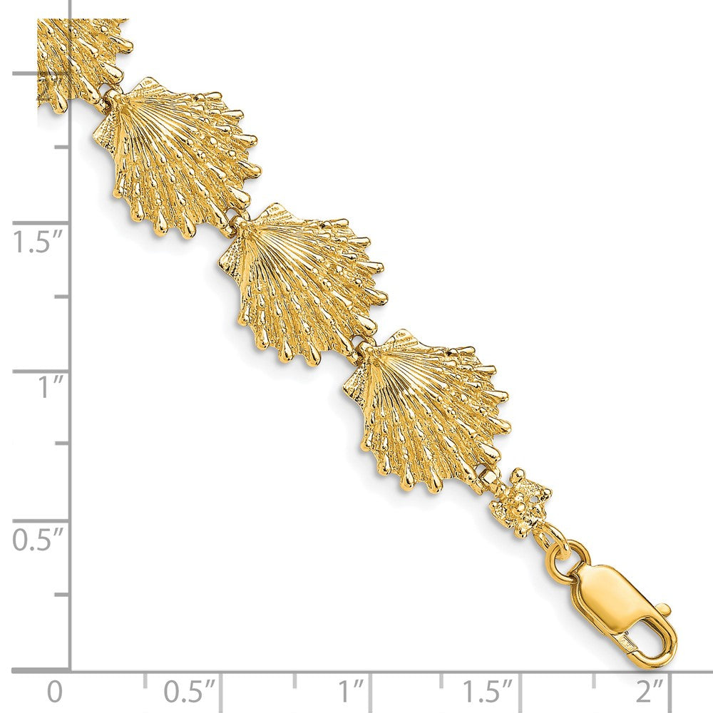 14k Lion's Paw Shell Bracelet