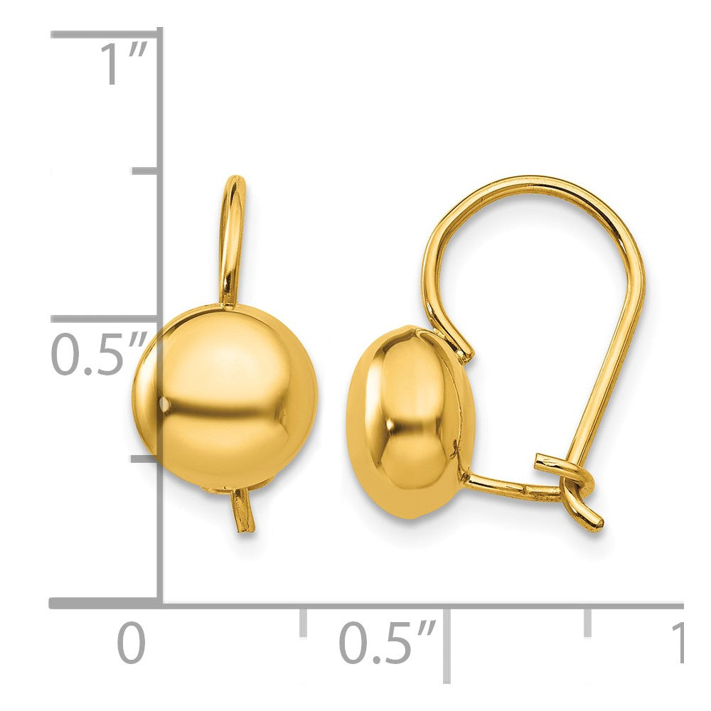 14k Polished 8mm Button Kidney Wire Earrings