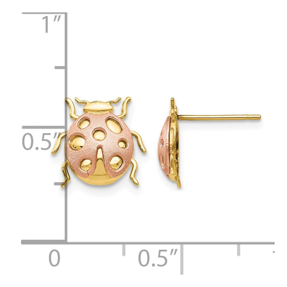14k Two-Tone Ladybug Post Earrings