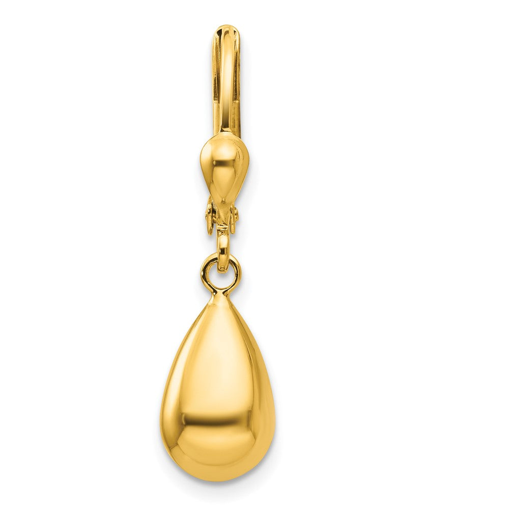 Single 14k Polished Fancy Dangle Leverback Earring