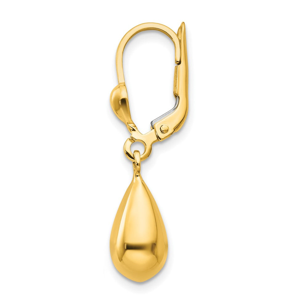 Single 14k Polished Fancy Dangle Leverback Earring