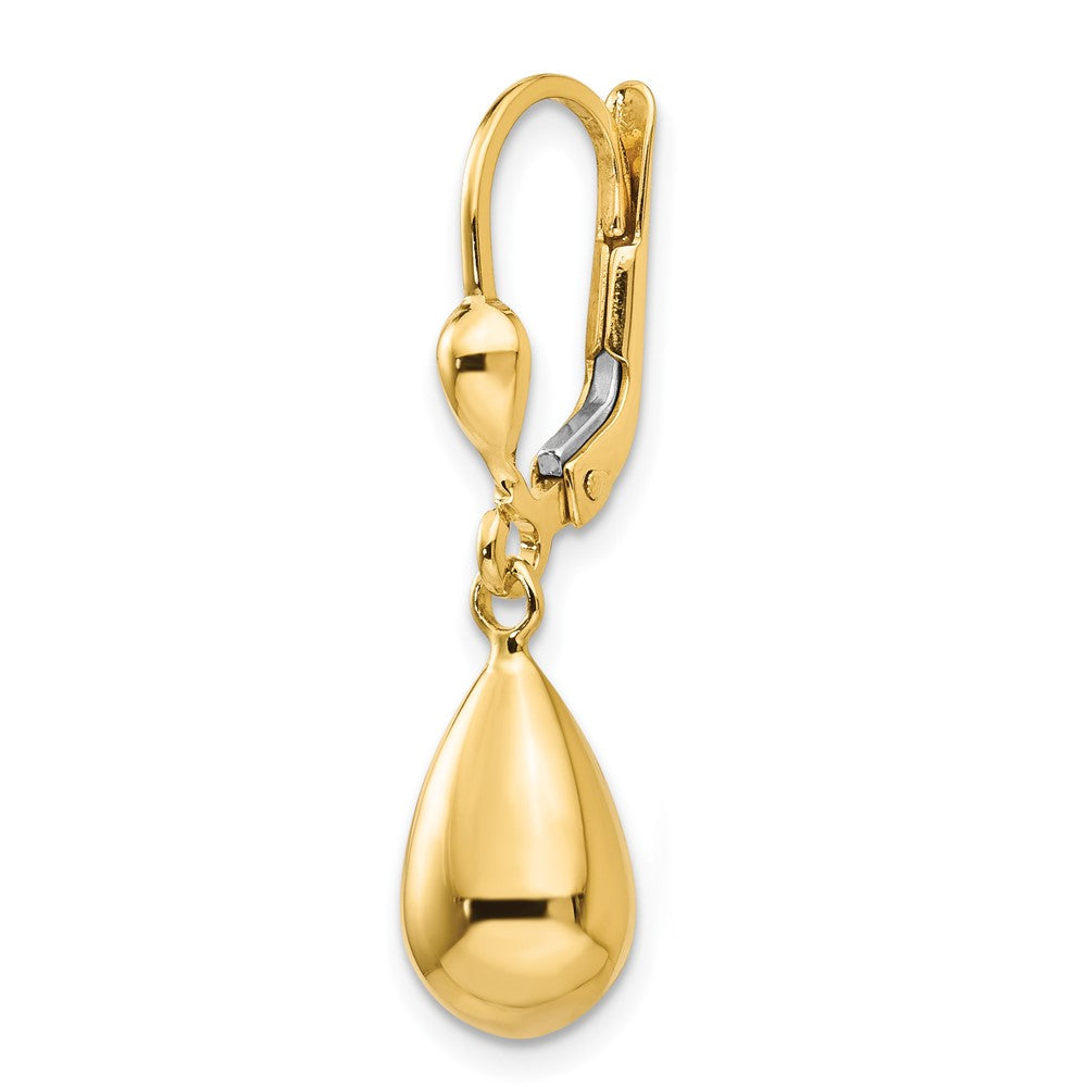 Single 14k Polished Fancy Dangle Leverback Earring