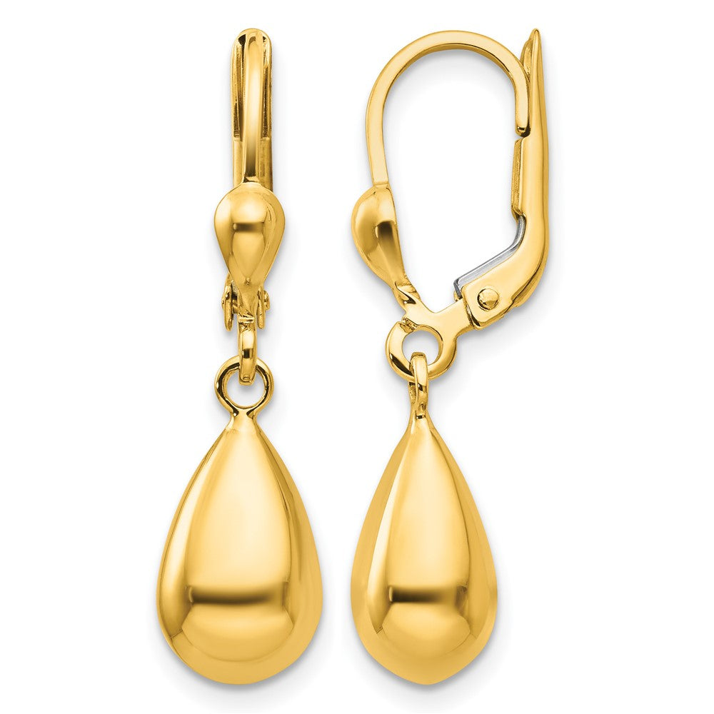14k Polished Fancy Dangle Leverback Earrings