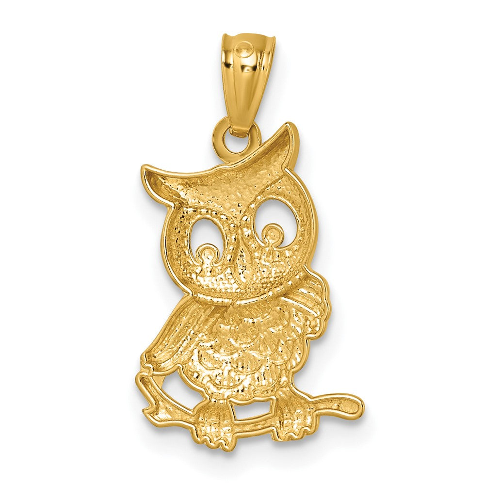 14k & Rhodium Polished & Textured Owl Pendant