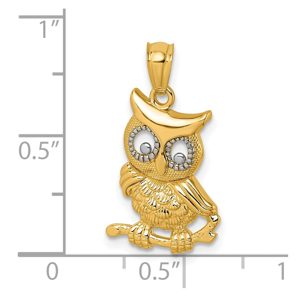 14k & Rhodium Polished & Textured Owl Pendant