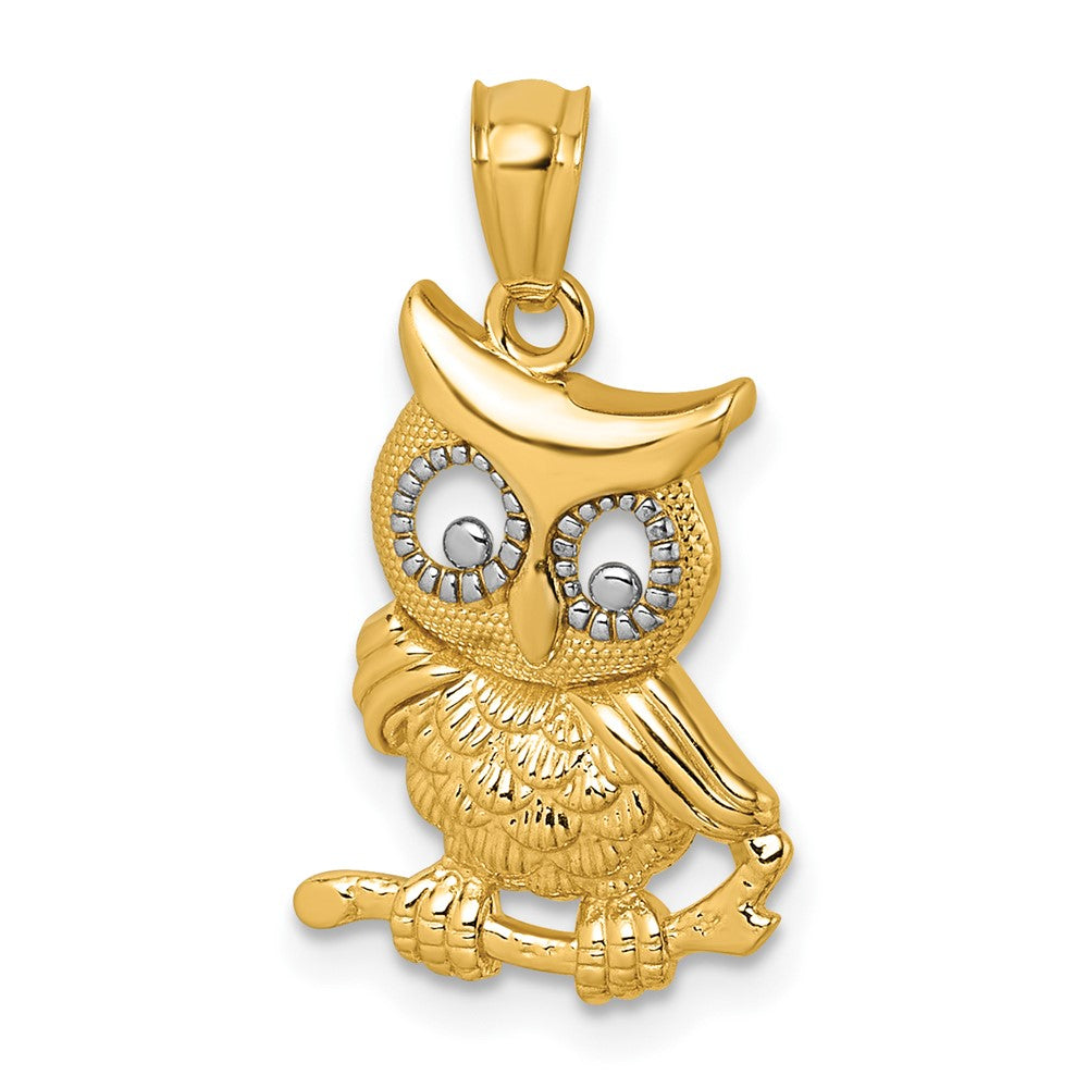 14k & Rhodium Polished & Textured Owl Pendant