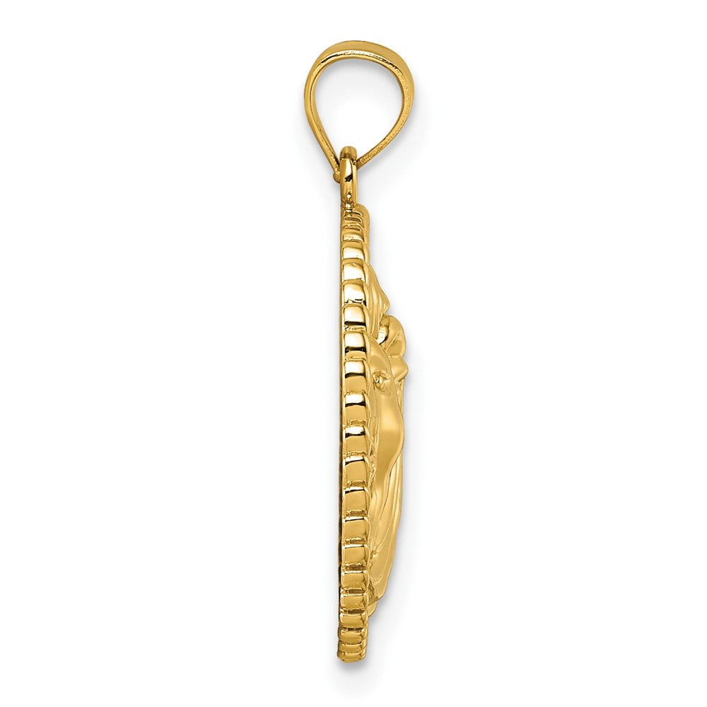 14k Polished Lion with Mane Circle Pendant
