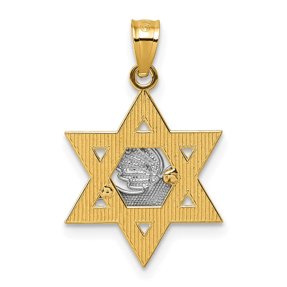 14k Two-tone Textured/Diamond-cut Dove On Star Of David Pendant