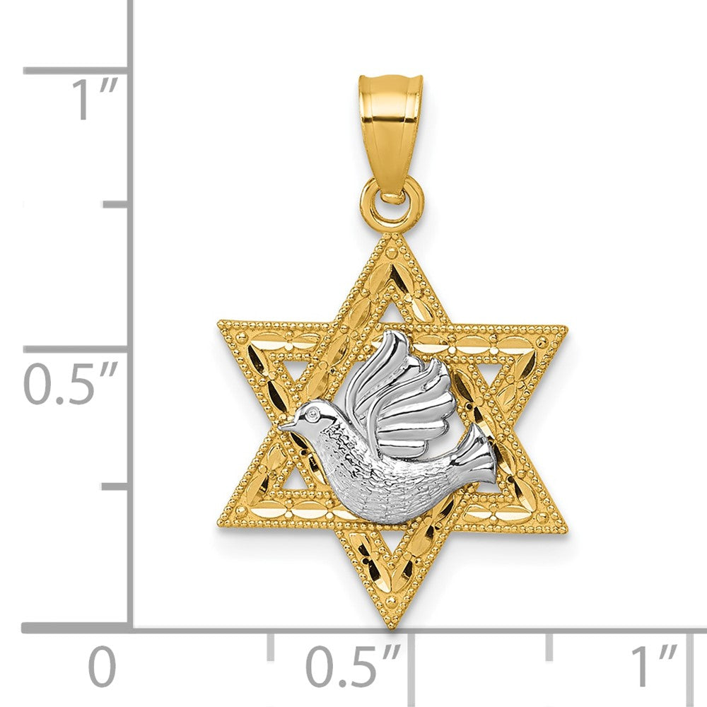 14k Two-tone Textured/Diamond-cut Dove On Star Of David Pendant