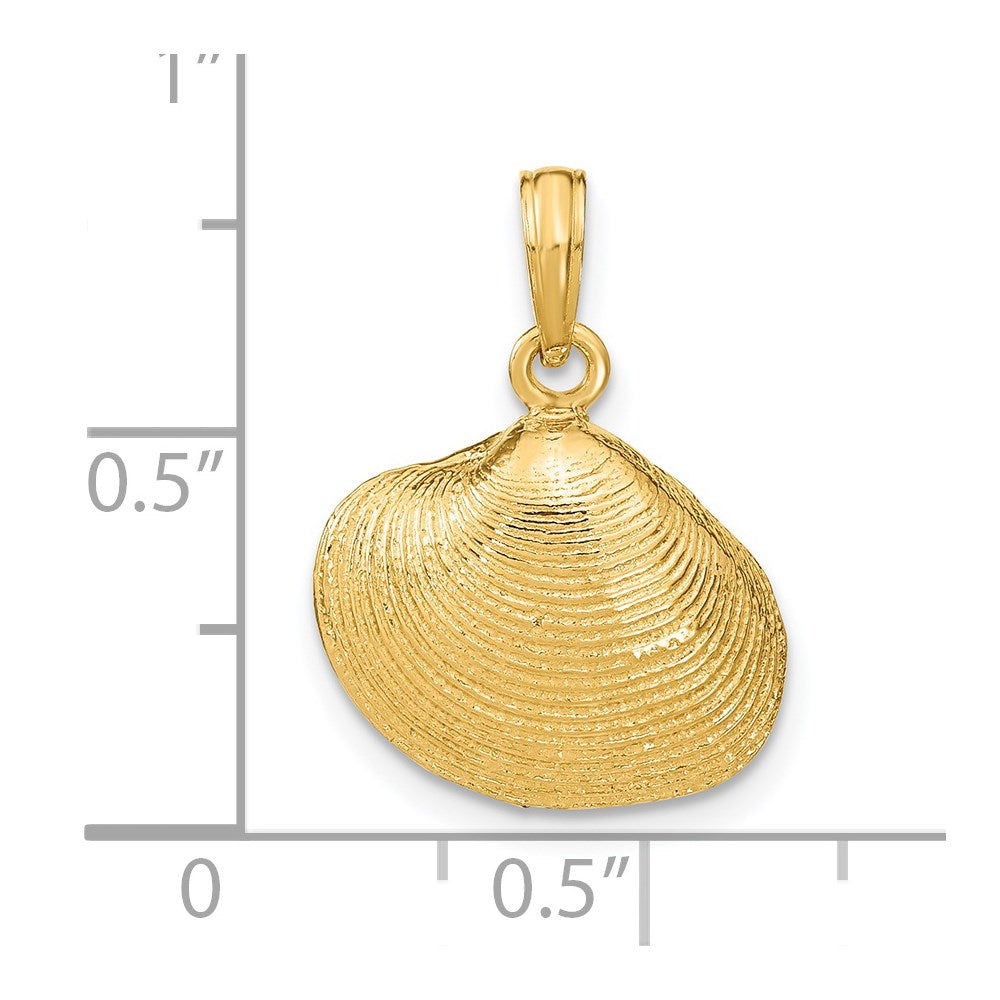 14k Medium Clam Shell Pendant