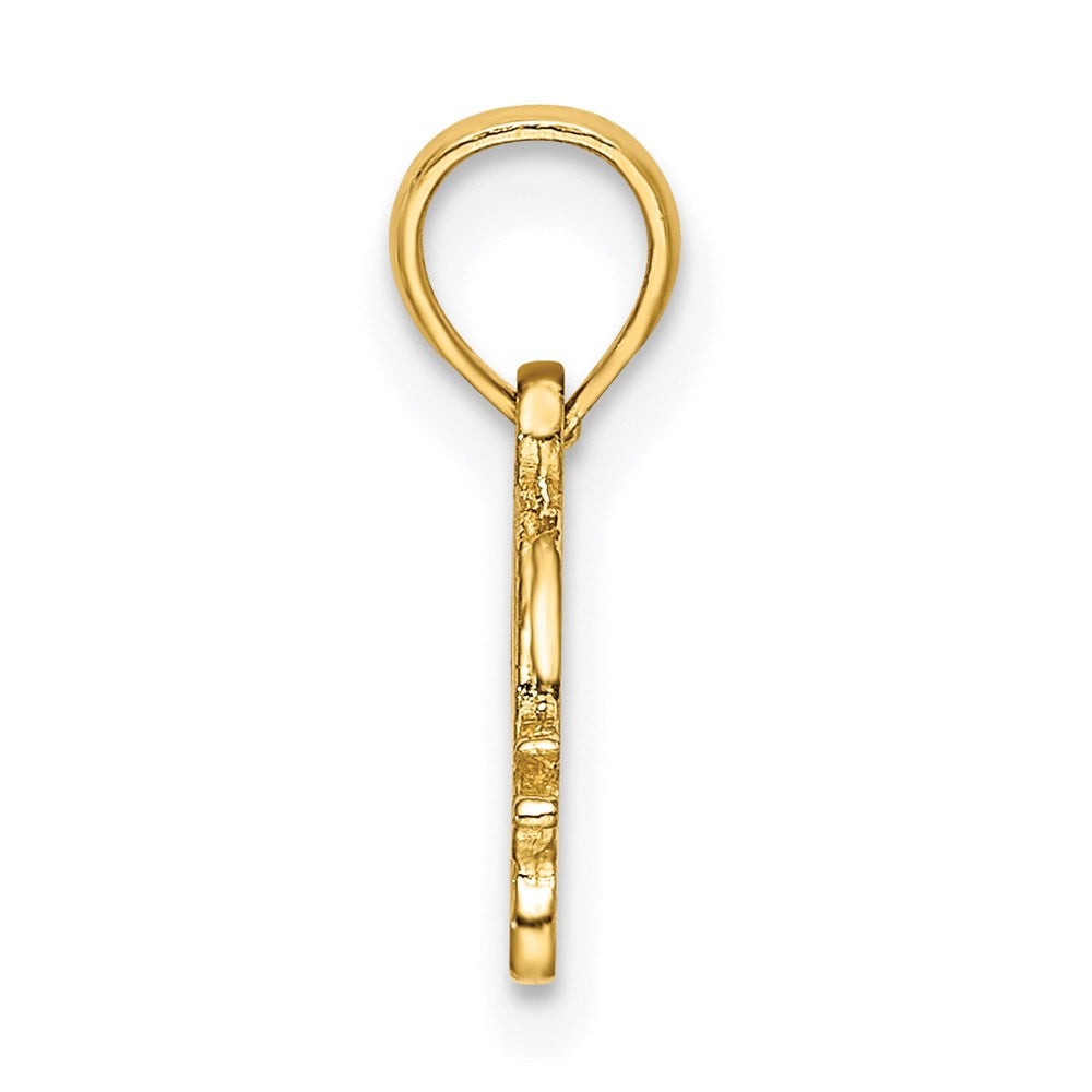 14k Textured Mini Snail Charm