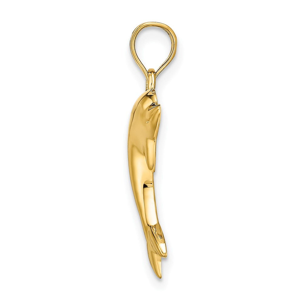 14K Polished Dolphin Charm