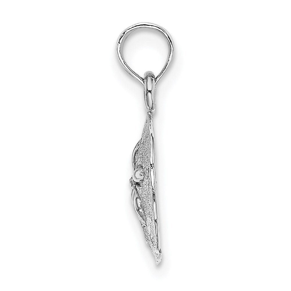 14k White Gold Polished Sand Dollar Pendant