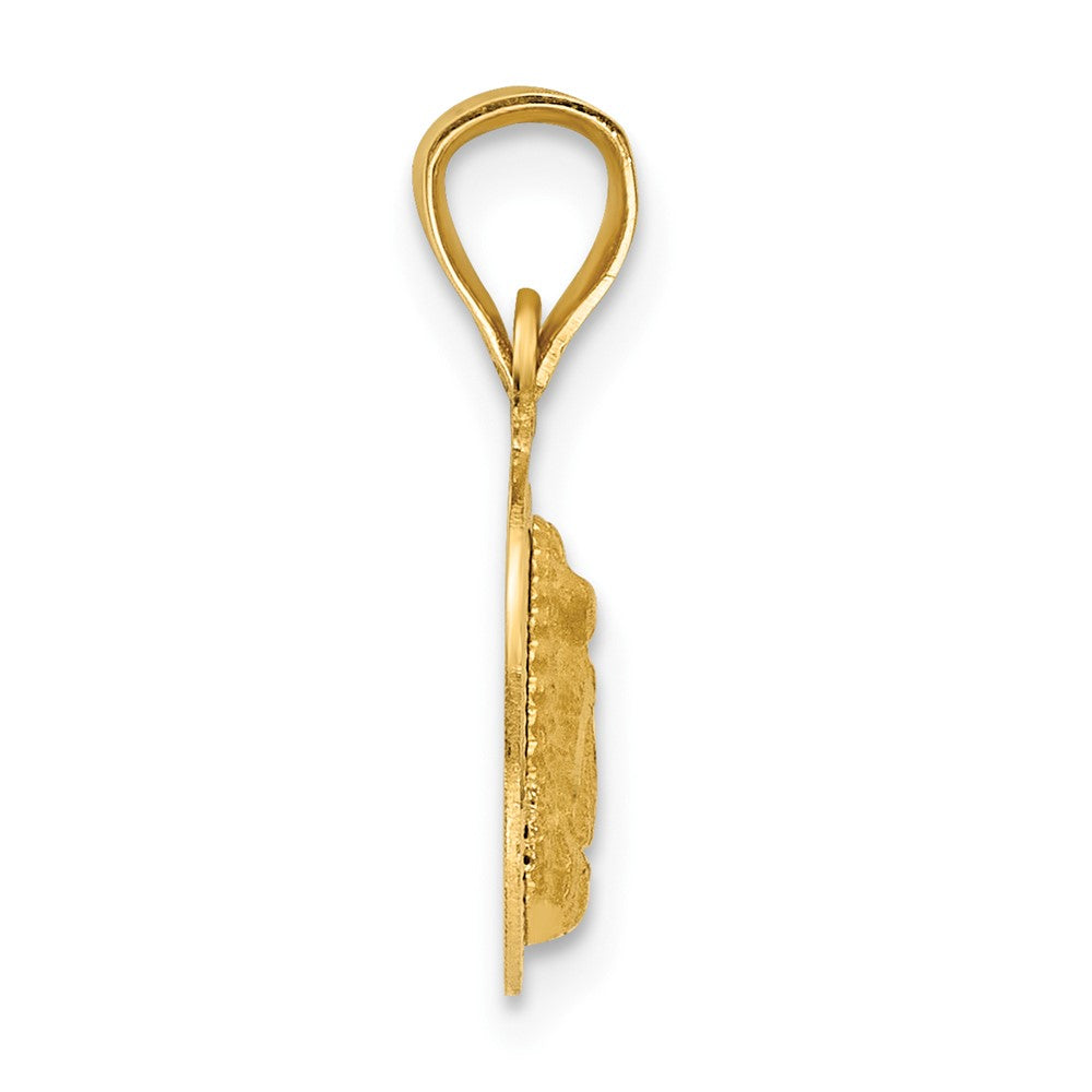 14K Polished D/C Lady Of Guadalupe Circle Pendant