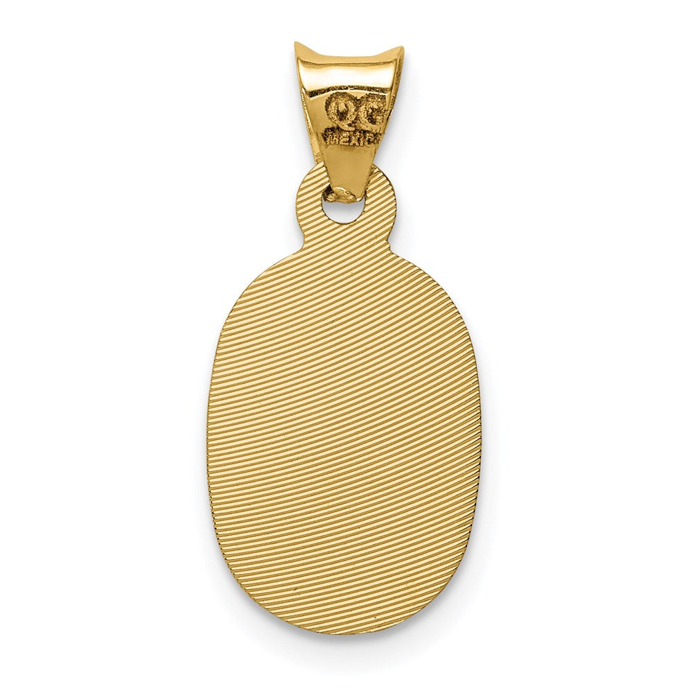 14K w/Rhodium D/C Lady Of Guadalupe Oval Pendant