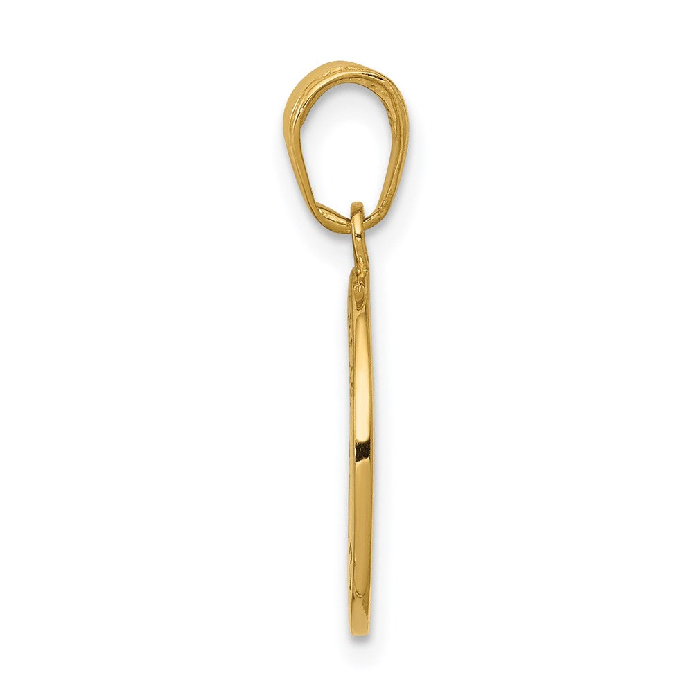 14K Gold Satin And Polished Saint Francis Medal Pendant