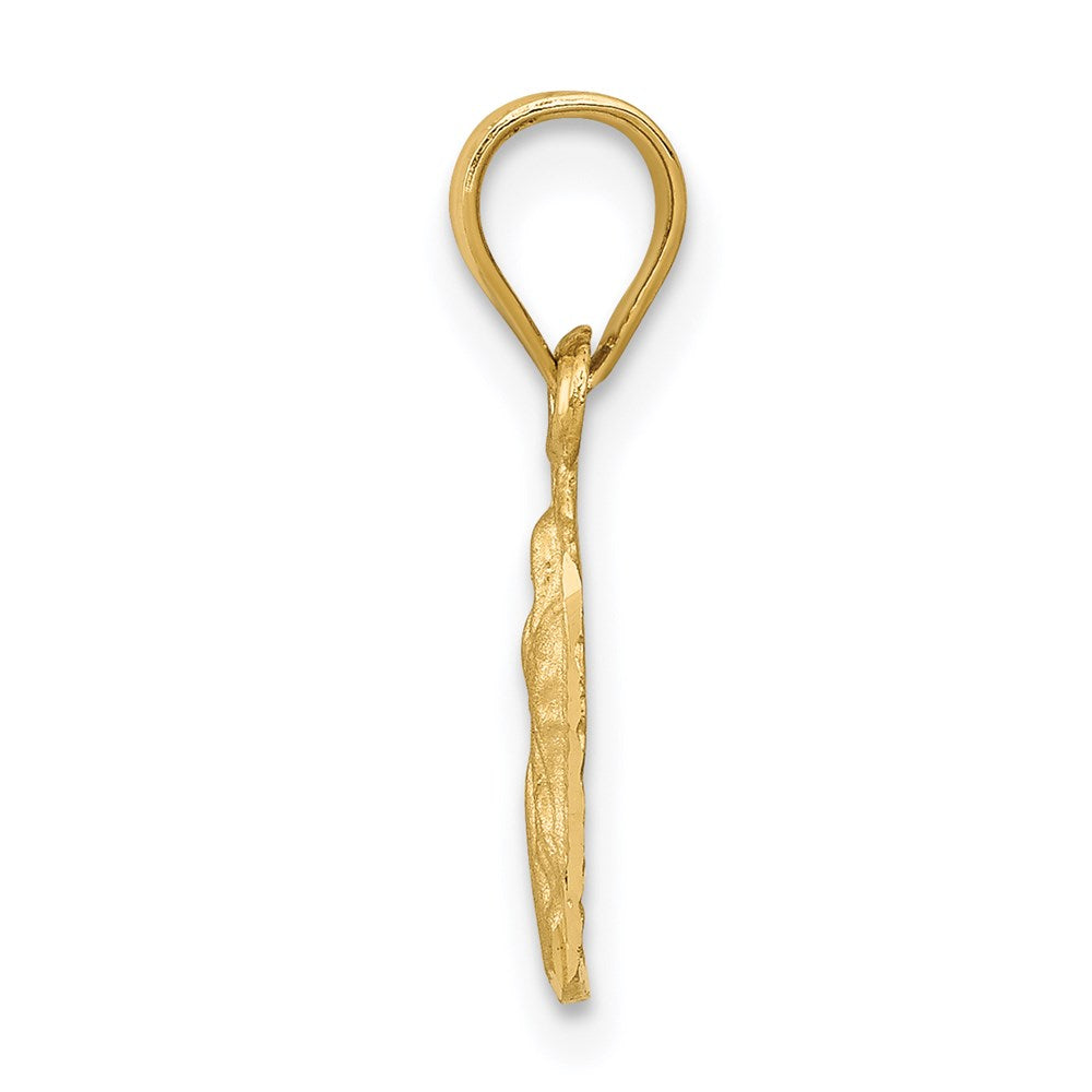 14k Satin & D/C Our Lady of Guadalupe Pendant
