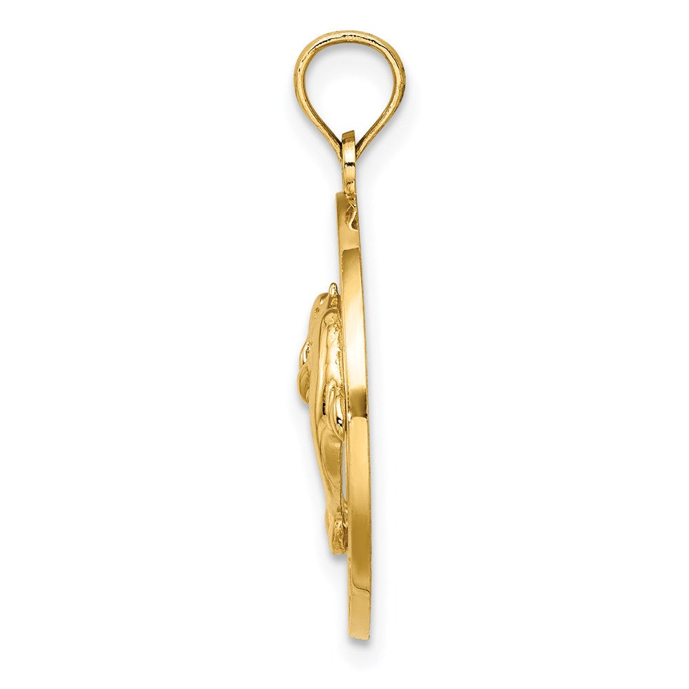 14K FLORIDA w/Dolphins Circle Charm