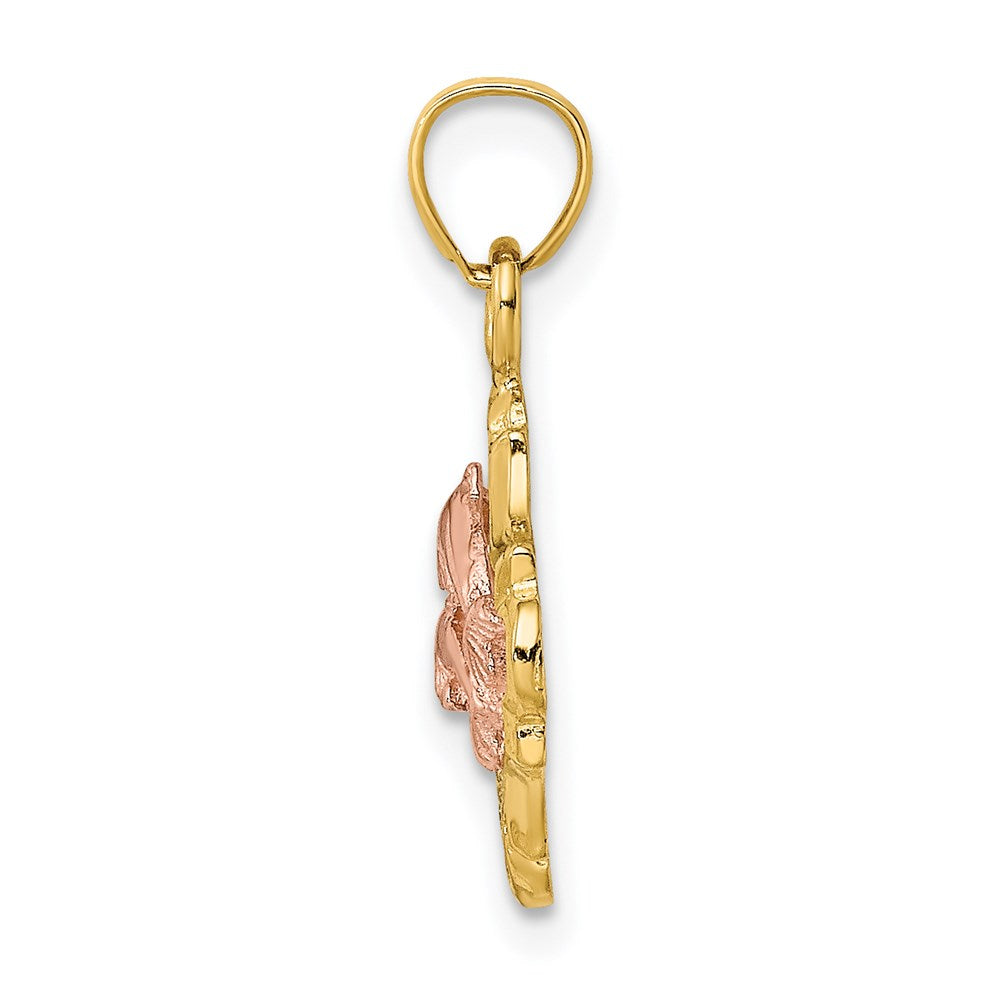 14k Two-tone with White Rhodium Double Dolphins In Frame Charm