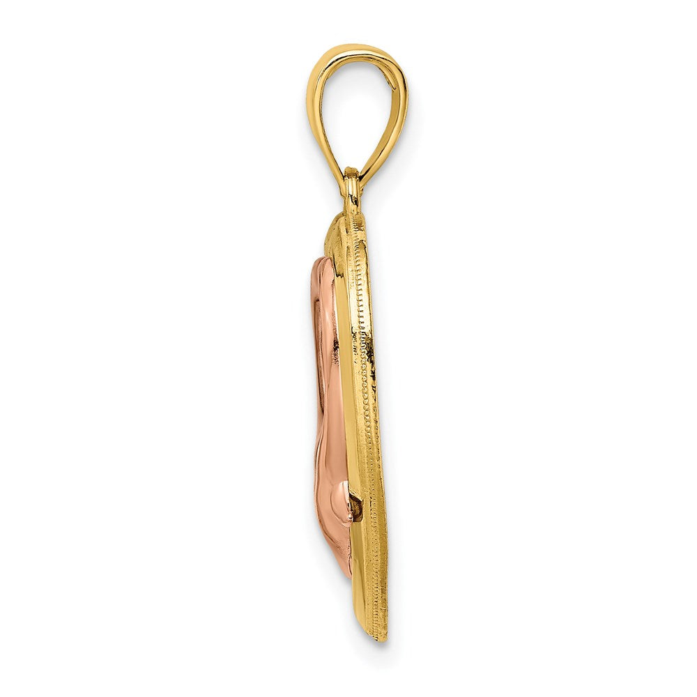 14K Two-Tone w/White Rhodium Dolphins In Heart Frame Charm