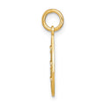 14K w/Rhodium D/C Small Teardrop Charm