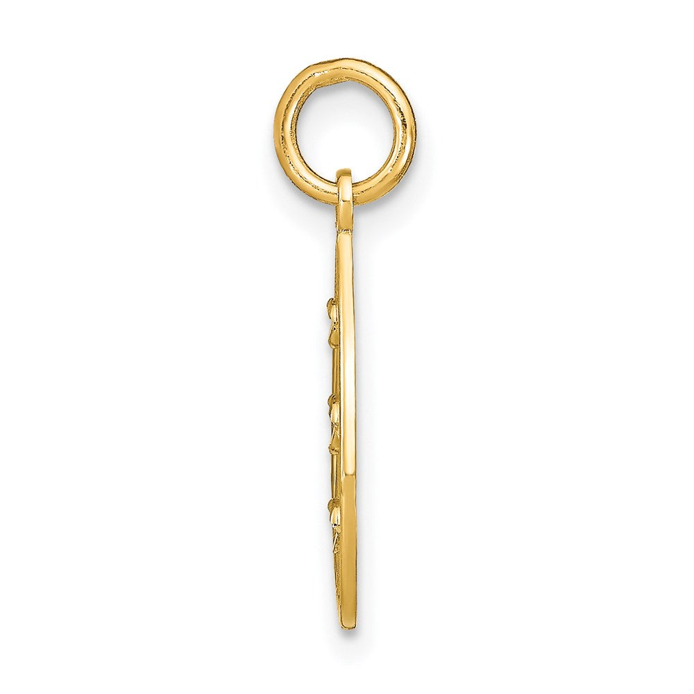14K w/Rhodium D/C Small Teardrop Charm