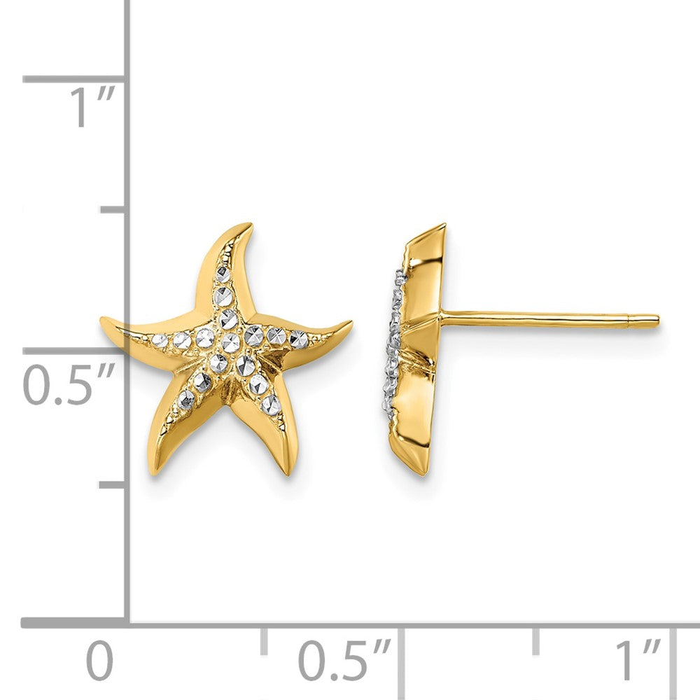 14k w/Rhodium Starfish Post Earrings