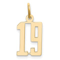 14k Small Elongated Number 19 Charm