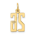 14k Small Elongated Number 26 Charm