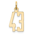 14k Small Elongated Number 43 Charm