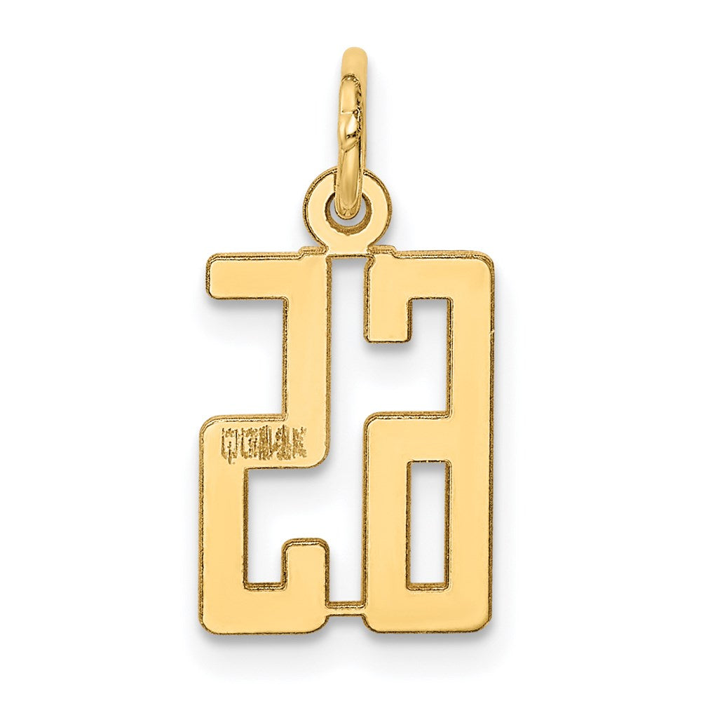 14k Small Elongated Number 65 Charm