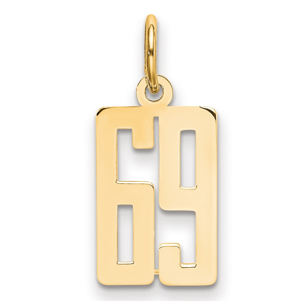 14k Small Elongated Number 69 Charm