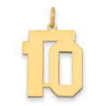 14k Medium Polished Number 10 Charm
