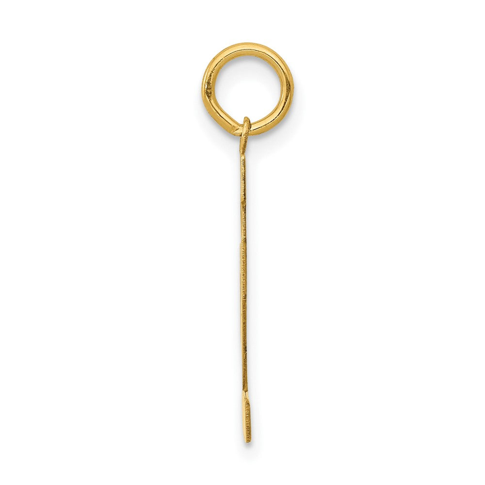 14k Medium Polished Number 12 Charm
