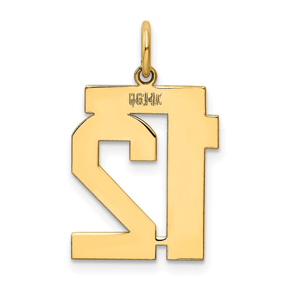 14k Medium Polished Number 12 Charm