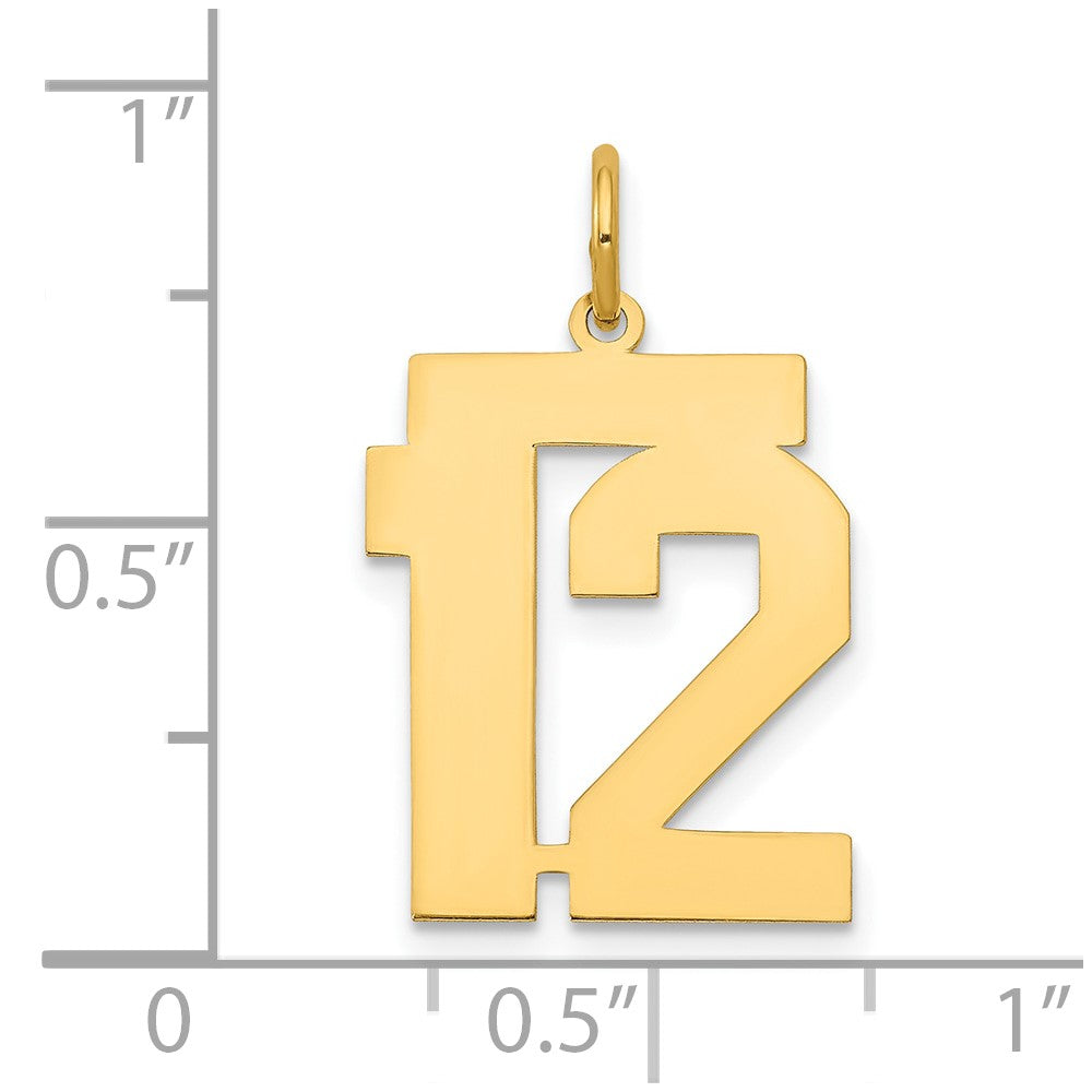 14k Medium Polished Number 12 Charm