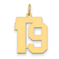 14k Medium Polished Number 19 Charm