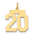 14k Medium Polished Number 20 Charm