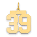14k Medium Polished Number 39 Charm