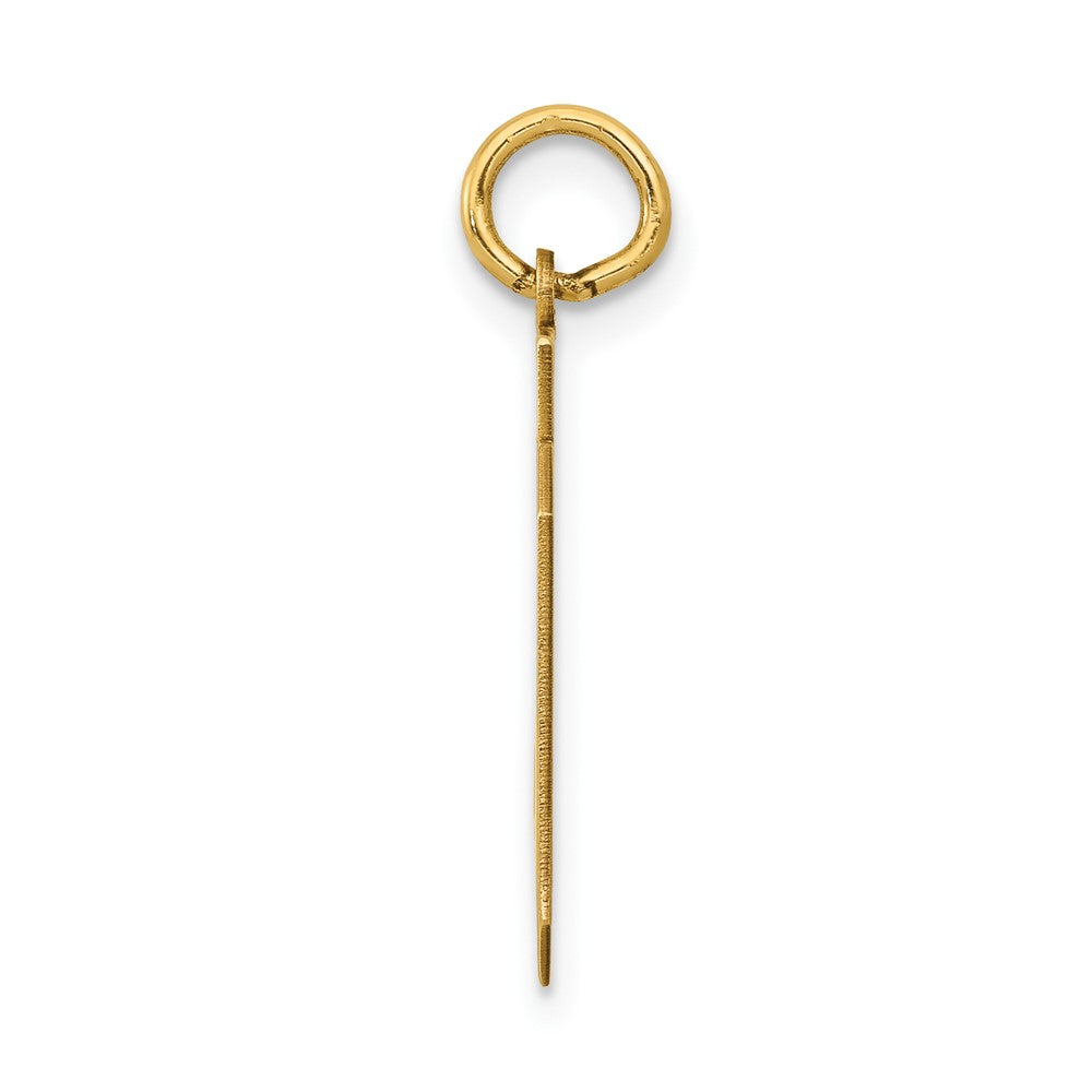 14k Medium Polished Number 69 Charm