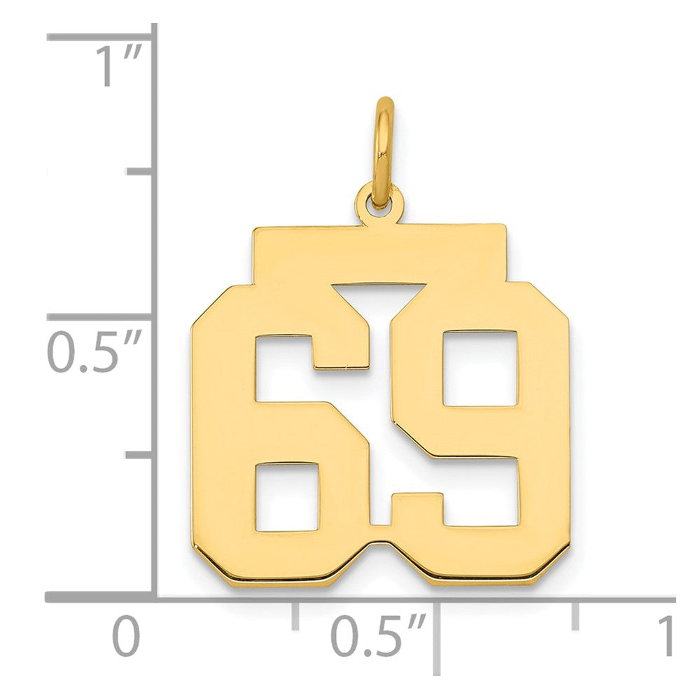 14k Medium Polished Number 69 Charm