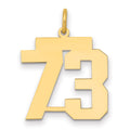 14k Medium Polished Number 73 Charm