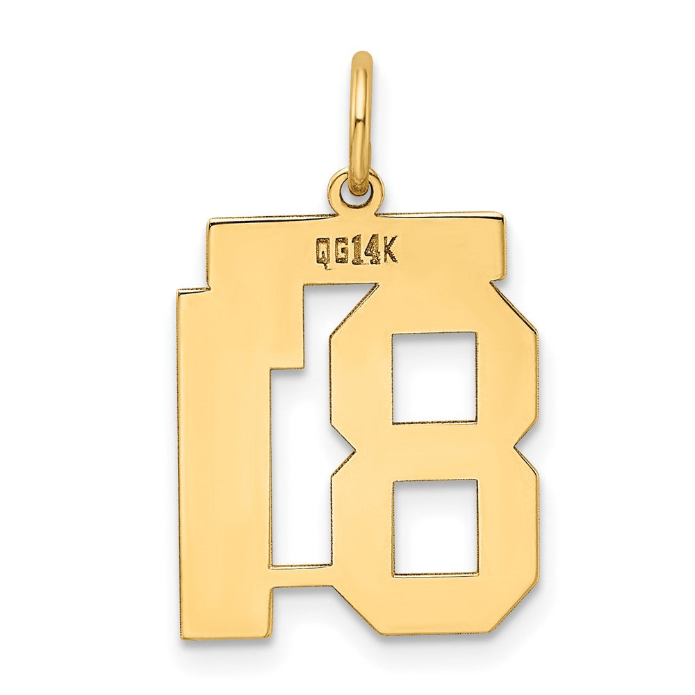 14k Medium Polished Number 81 Charm