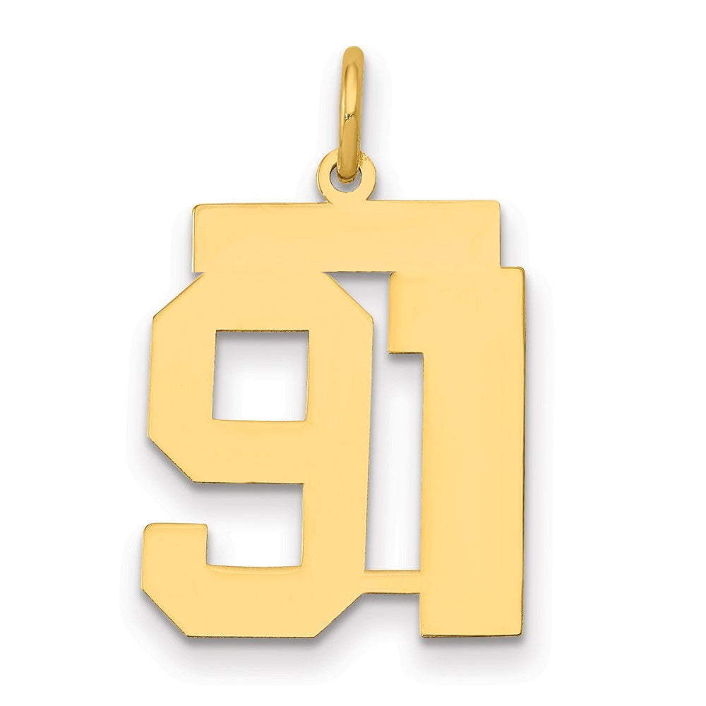 14k Medium Polished Number 91 Charm