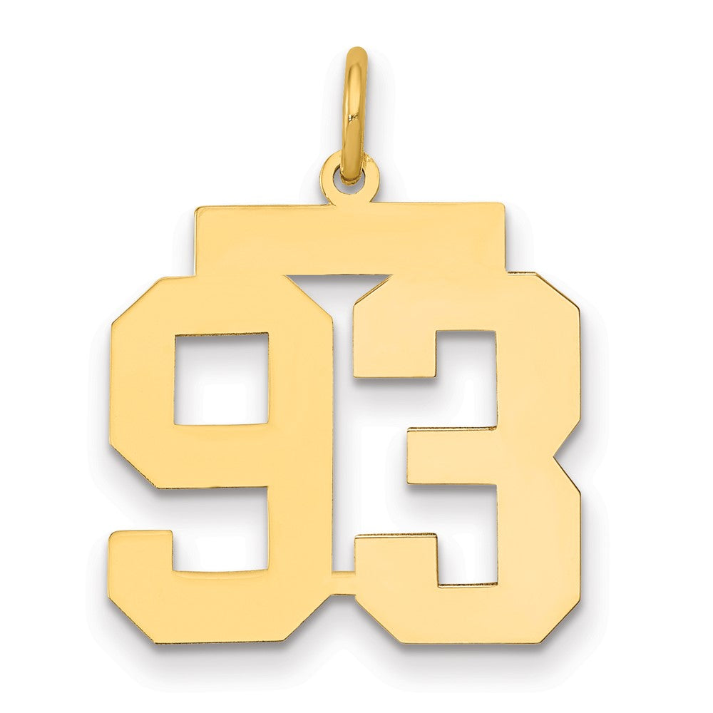 14k Medium Polished Number 93 Charm