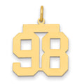 14k Medium Polished Number 98 Charm