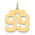 14k Medium Polished Number 99 Charm